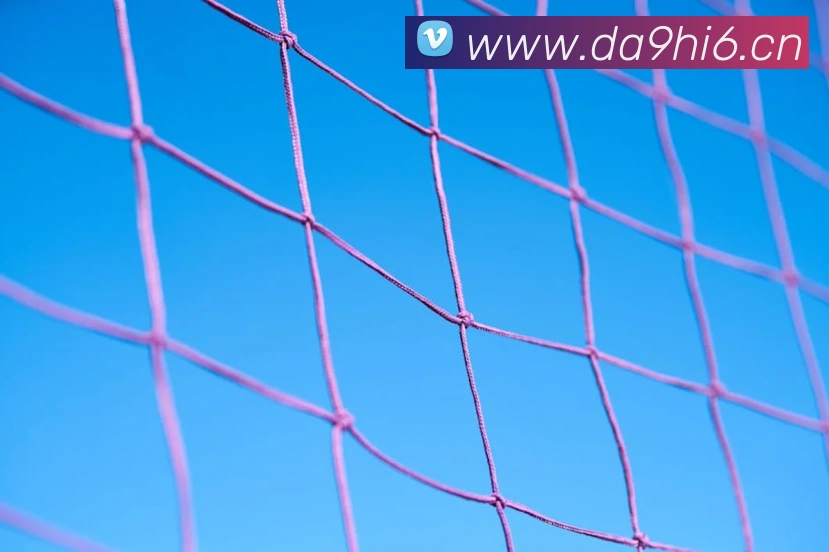 星空体育综合平台入口服务体系